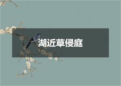 湖近草侵庭