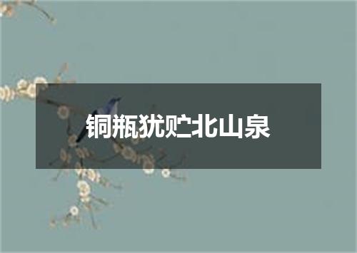 铜瓶犹贮北山泉