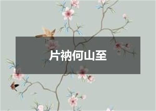 片衲何山至