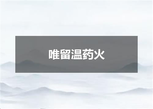 唯留温药火