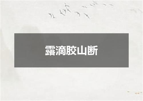 露滴胶山断