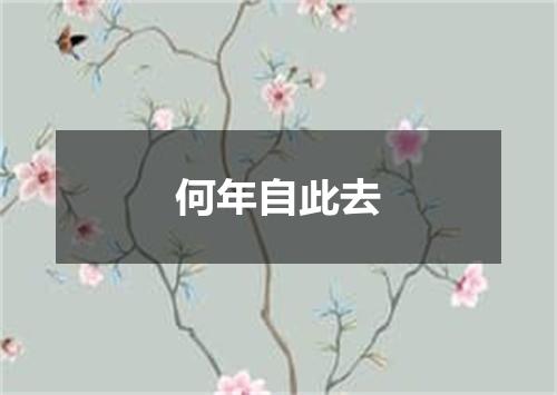 何年自此去