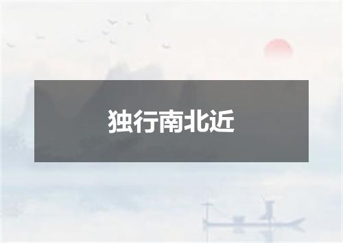 独行南北近
