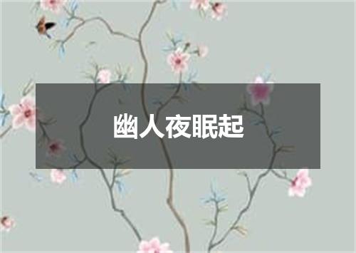 幽人夜眠起