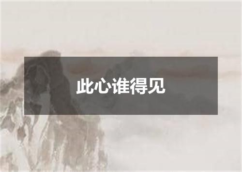 此心谁得见