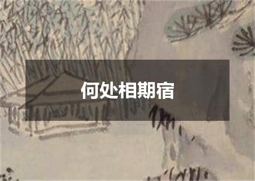 何处相期宿