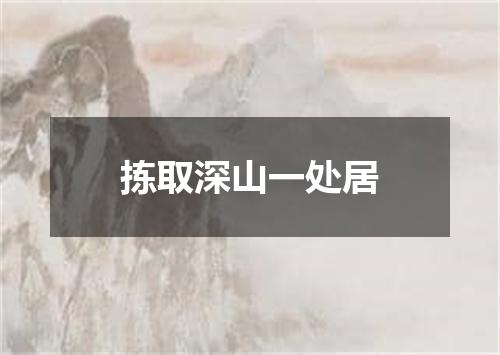 拣取深山一处居