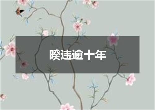 暌违逾十年