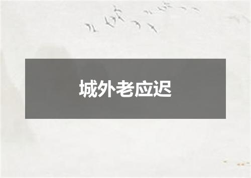 城外老应迟