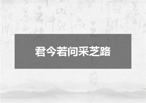 君今若问采芝路