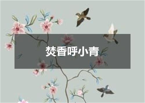 焚香呼小青