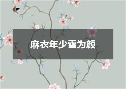 麻衣年少雪为颜