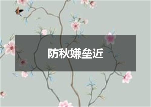 防秋嫌垒近