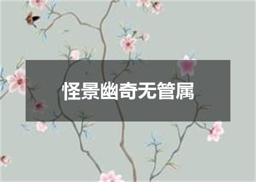怪景幽奇无管属