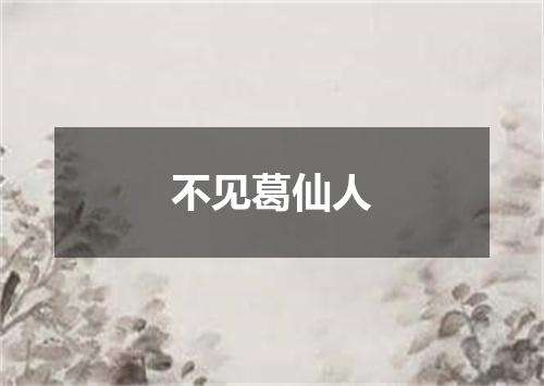 不见葛仙人