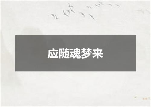 应随魂梦来