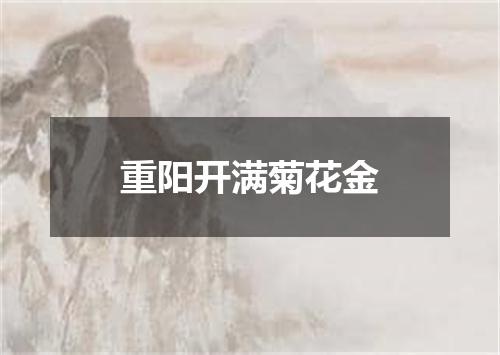 重阳开满菊花金