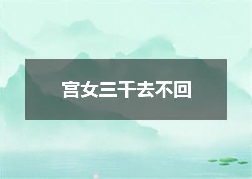 宫女三千去不回