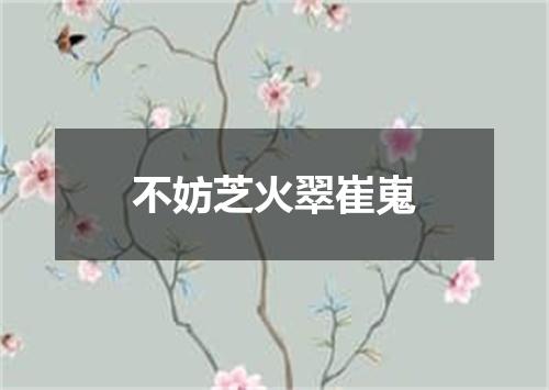 不妨芝火翠崔嵬