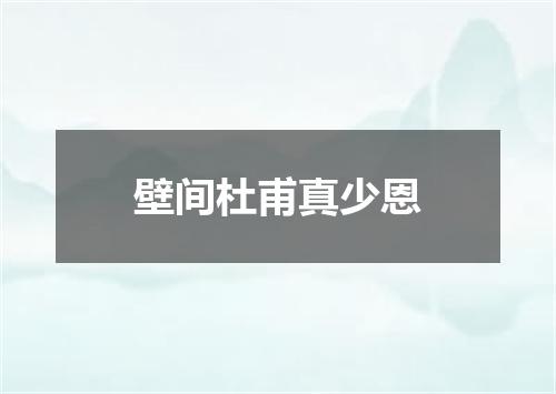 壁间杜甫真少恩