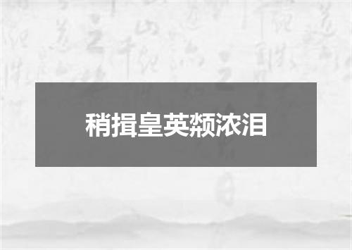 稍揖皇英颒浓泪