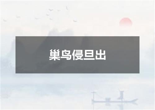 巢鸟侵旦出