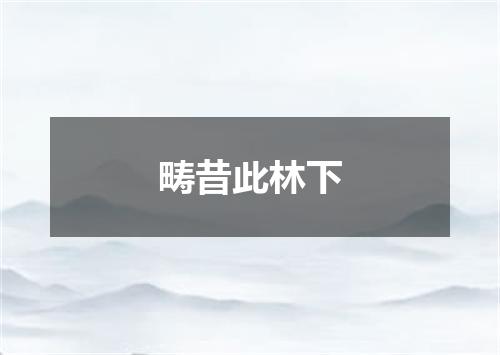 畴昔此林下