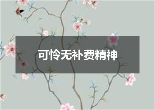 可怜无补费精神