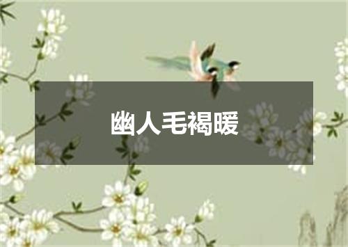 幽人毛褐暖