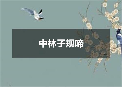 中林子规啼
