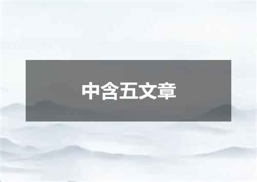 中含五文章