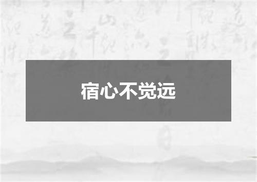 宿心不觉远