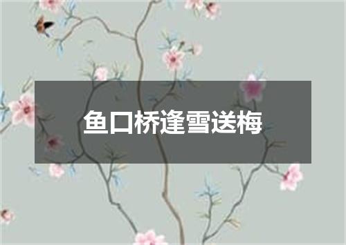 鱼口桥逢雪送梅