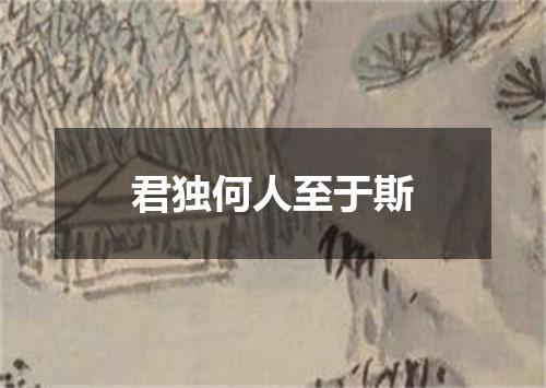 君独何人至于斯