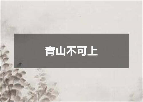青山不可上