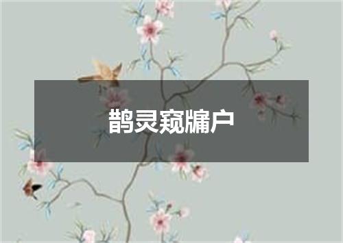 鹊灵窥牖户