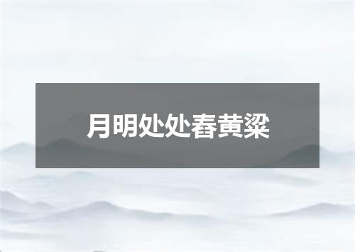月明处处舂黄粱