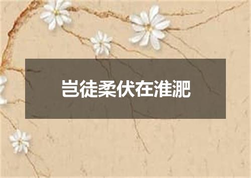 岂徒柔伏在淮淝