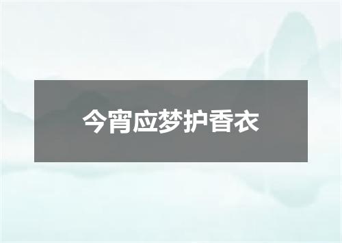 今宵应梦护香衣