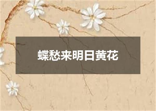 蝶愁来明日黄花