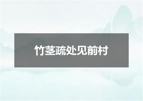 竹茎疏处见前村