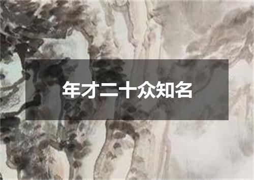 年才二十众知名