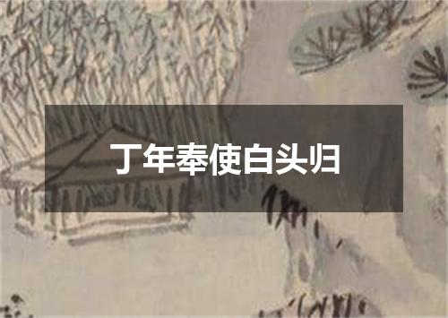 丁年奉使白头归