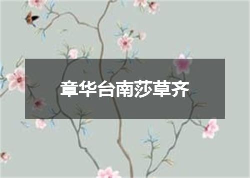 章华台南莎草齐
