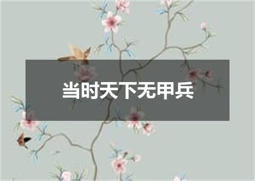 当时天下无甲兵