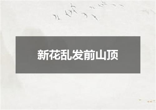 新花乱发前山顶