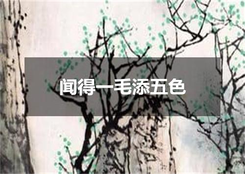 闻得一毛添五色