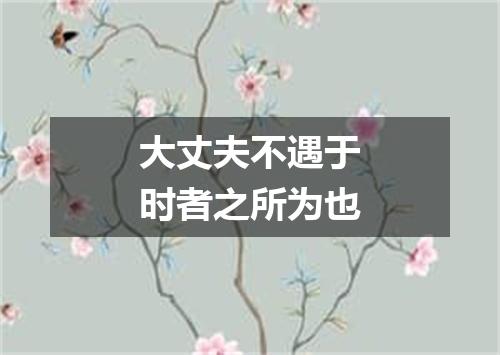 大丈夫不遇于时者之所为也
