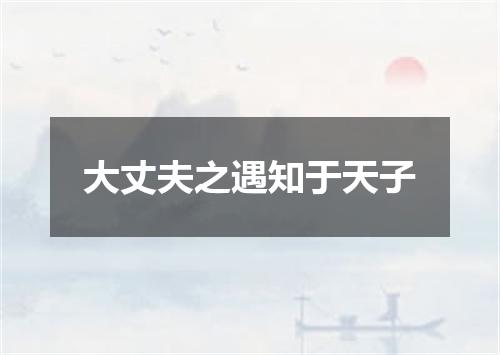 大丈夫之遇知于天子