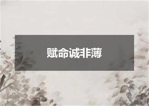 赋命诚非薄